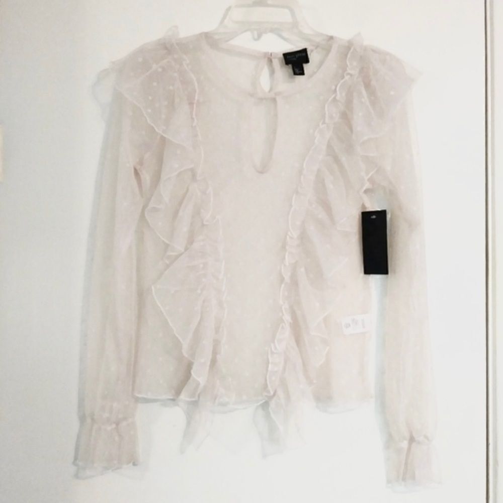 Nordstrom Free Press Light Pink Swiss Dot Sheer Mesh Lace Top